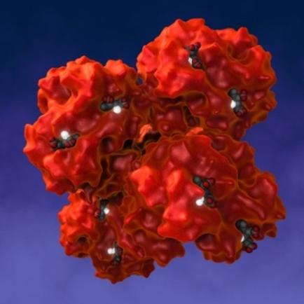 A 3D rendering of a group of red spheres. The spheres are arranged in a cluster with each sphere slightly overlapping the one below it. The red color of the spheres stands out against the blue background making them the focal point of the image. There are also small black dots scattered throughout the spheres adding a contrast to the bright red color. The image appears to be a computer-generated representation of a molecular structure.