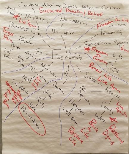 This is a word cloud about Fasinumab. Fasinumab was an investigational therapy developed by Regeneron and Teva for the treatment of chronic pain particularly in conditions like osteoarthritis (OA) of the knee or hip and chronic low back pain (per Google AI overview).