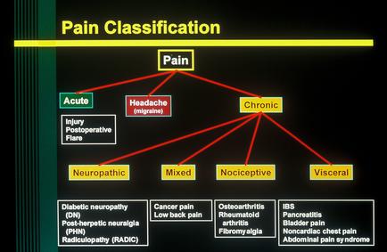 This is a flow chart showing the different types of pain. There are second level branches for Acute Headache (migraine) and Chronic. There are third level branches under Chronic for Neuropathic Mixed Nociceptive and Visceral (each of which includes multiple examples).