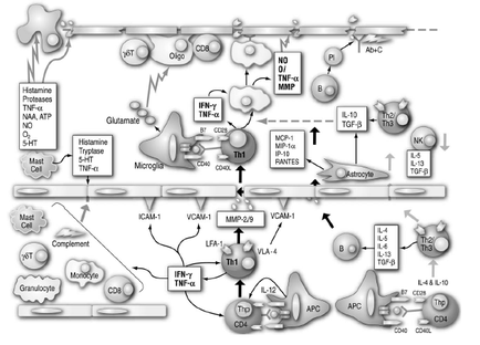 A flowchart that shows the process of making a protein molecule. It is a diagram that shows how the protein molecule is made up of different components and how they interact with each other. The flowchart is divided into two sections. The top section shows the protein molecules which are responsible for the production of proteins in the body. The proteins are represented by different shapes and sizes and the molecules are arranged in a way that they form a complex network. On the left side of the flowchart there is a protein cell which is responsible for producing protein proteins. The protein cell is shown as a protein that binds to the protein in the cell membrane. On the right side there are two proteins one protein and one protein which act as proteins that bind to the proteins in a protein-rich protein. These proteins are also responsible for binding to proteins in proteins such as proteins proteins and enzymes. - The protein molecules are shown as protein molecules in the protein cell and the proteins are shown in the image. The image also shows how protein molecules interact with proteins and enzymes which help to regulate the protein production process.