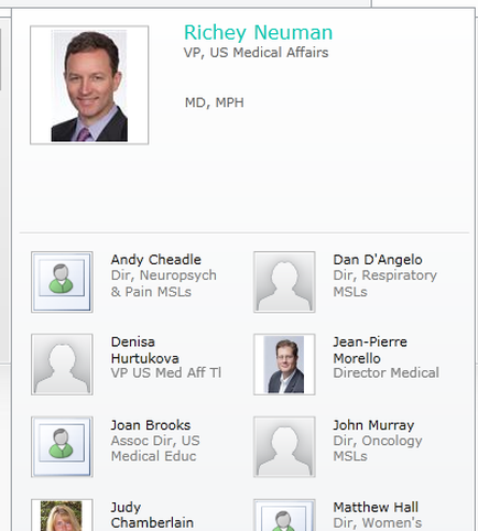 This is an organizational chart for an unnamed portion of an unnamed organization. The most prominent name - both in location (at the top) and size (larger than the rest) - is Richey Neuman MD MPH who is VP of US Medical Affairs. There are also entries for Andy Cheadle Dan D'Angelo Denisa Hurtukova Jean-Pierre Morello Joan Brooks and John Murray (although the hierarchical relationships between the 7 individuals are not listed).