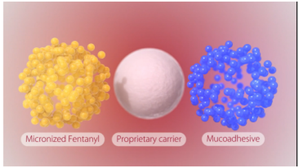 Three different types of microorganisms - Micronized Fentanyl Proprietary carrier and Mucoadhesive. On the left side of the image there is a spherical structure made up of small yellow spheres. The sphere on the right side is larger and appears to be made of blue spheres. In the center there are two smaller spheres one white and one blue. The white sphere is the largest and the blue spheres are smaller and appear to be more densely packed together. The background is a light pink color.