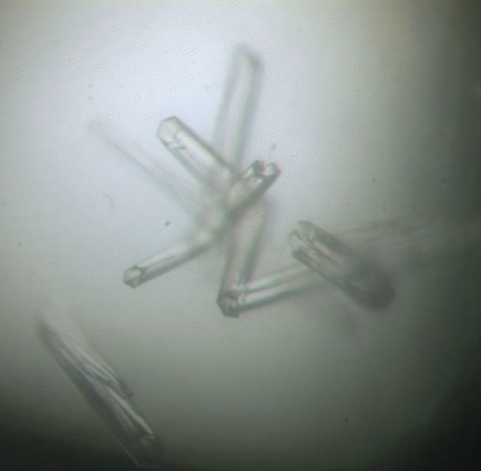 A close-up of a group of small transparent objects arranged in a star-like shape. The objects appear to be made of a transparent material possibly glass or plastic and are of different sizes and shapes. The background is a light grey color and the objects are outlined in black. The image is taken from a top-down perspective looking down on the objects. The overall mood of the image is dark and mysterious.