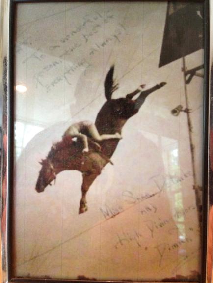 A framed photograph of a person on a horse. The person is in mid-air with their arms stretched out to the sides and their legs bent at the knees. The horse is brown with a white mane and tail. The background is blurred but it appears to be a room with a window and a curtain. The photograph is done in a sepia tone giving it a vintage feel. The frame is made of wood and has a gold border.