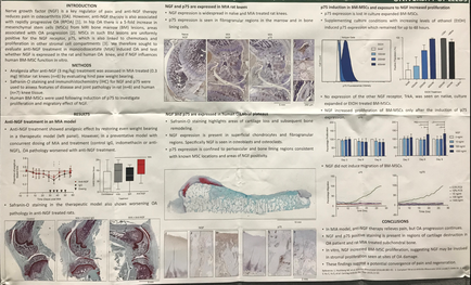 A page from a research paper titled "Introduction to the study of the human body". The page is divided into three sections. The first section on the top left shows a diagram of the structure of the body which appears to be a cross-section of the head and neck. The diagram shows the different types of cells in the body and how they interact with each other. The top right section shows a bar graph and a bar chart which are used to show the results of the study. In the center of the page there are several smaller images and graphs that provide further information about the study's findings. The first image on the left shows the structure and the results while the second image shows the results. The third image shows a histogram of the cells which shows the percentage of cells that have been affected by the study and the fourth image shows an image of a tissue sample with a red arrow pointing to the left side of the image. The text on the page explains that the study is focused on the study and provides detailed information about how the cells interact with the body.