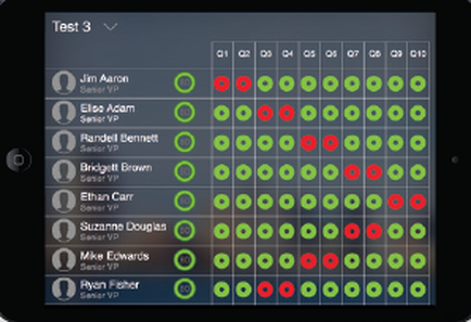 This is a data visualization showing binary values (Green or Red) for 8 different people across 10 different quarters. For example Jim Aaron (Senior VP) has red for Quarters 1-2 and green for Quarters 3-10.