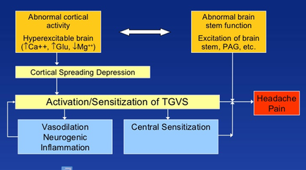This is a flow chart showing the various pathways to Headache pain (ex : Abnormal cortical actibity leading to Cortical spreading depression leading to Activation/sensitization of TGVS leading to Central sensitization leading to Abnormal brain steam function resulting in Headache pain).