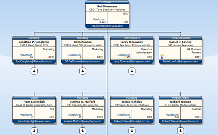 This is an (incomplete?) organizational chart for Teva Specialty Medicines. It shows 8 different direct reports to Rob Koremans (the CEO) (ex : Jonathan P. Congleton the Senior Vice President & Head of Global CNS) including their headcount in the department headed by each direct report (ex : 10). There is also a category designation for each direct report (ex : Marketing) and their email address (ex : Jon.Congleton@Tevapharm.com).