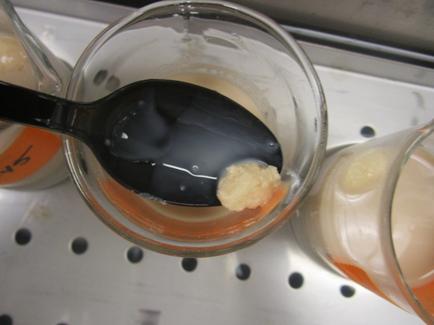 A close-up of a small glass bowl with a black spoon in it. The bowl is filled with a dark liquid which appears to be a mixture of orange and white colors. The spoon is resting on the edge of the bowl and there is a small amount of the liquid in the bowl. In the background there are two other glass bowls one with a white liquid and the other with a yellow liquid. The bowls are placed on a metal tray with holes.