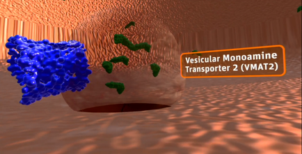 A 3D rendering of a Vascular monocline Transporter 2 (VMAT2) molecule. The molecule is blue in color and appears to be made up of small round cells. It is floating in the center of the image with a large cylindrical structure on the right side. The structure is surrounded by a pinkish-orange background. On the left side there are several green cells which appear to be the nucleus of the molecule. In the background there is a text overlay that reads "Vascular monocline transporter 2 (VMT2)" in white letters. The image appears to have been taken from a top-down perspective looking down on the molecule and its structure.