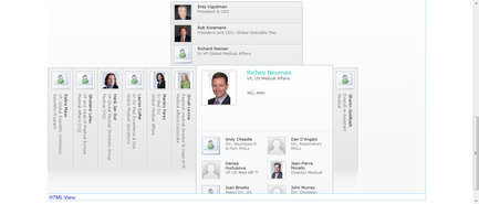 This is an interactive web-based organizational chart for an unnamed portion of an unnamed organization. The most prominent name - both in location (at the top) and size (larger than the rest) - is Richey Neuman MD MPH who is VP of US Medical Affairs. There are also entries beneath Dr. Neuman (presumably his direct reports?) and above to the left and to the right of Dr. Neuman (presumably his peers whose units would become visible if clicked upon?).