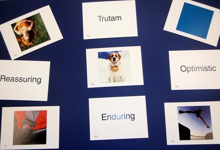 A collection of nine polaroid photographs arranged in a grid-like pattern on a blue background. Each photograph is accompanied by a white card with the word "Trutam" written on it. The first photograph on the top left shows a woman lying on the ground with her arms stretched out to the sides. The second photograph is of a dog with a blue collar. The third photograph is a close-up of a person's face. The fourth photograph is from the top right corner of the image. The fifth photograph is in the center of the grid and shows a person jumping in the air. The sixth photograph is on the bottom left corner and the seventh photograph is at the bottom right corner. All the photographs appear to be related to the concept of trutam which is a type of measurement used to measure the size of a photograph. The cards also have the words "Reassuring" and "Enduring" written in black text.