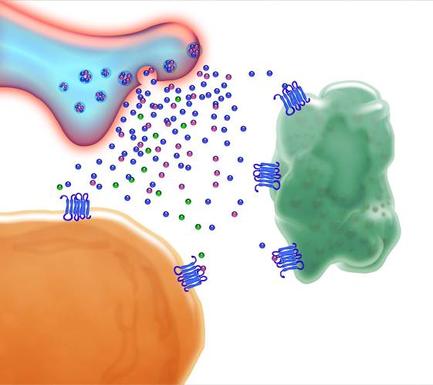 A 3D illustration of a protein molecule. On the left side of the image there is a blue protein molecule with small blue dots scattered around it. The protein molecule appears to be a type of protein as it has a round shape and a smooth surface. The blue dots are arranged in a scattered manner with some overlapping each other. On the right side there are two proteins one in green and one in orange. The green protein is larger than the orange protein and has a smooth texture. The orange protein is smaller than the green protein. There are also several small blue particles scattered around the protein molecule which appear to be bacteria or viruses. The background is white making the colors of the proteins and particles stand out.