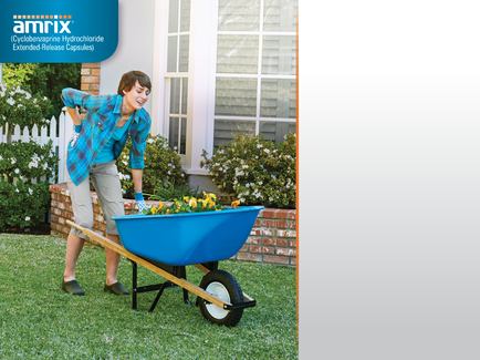 A young woman pushing a blue wheelbarrow in a garden. She is wearing a blue plaid shirt beige pants and black shoes. The garden has a brick wall and a white picket fence in the background. There are plants and flowers in the garden and a window on the right side of the image. The woman appears to be in the process of planting or tending to the plants.