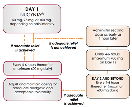 A flowchart that explains the how to use NUCYNTA. The flowchart starts at Day 1 which recommends 50 mg 75 mg or 100 mg depending on pain intensity. If adequate relief is not achieved the steps are to administer a second dose as early as 1 hour later every 4-6 hours (maximum 700 mg on Day 1) and for Day 2 and beyond every 4-6 hours thereafter (maximum 600 mg daily). Once adequate relief is achieved it recommends every 4-6 hours thereafter (maximum 600 mg daily) and to adjust and maintain dosing for adequate analgesia and acceptable tolerability.