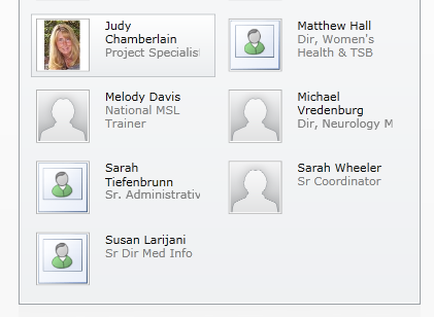 This is an untitled organizational chart consisting of metadata about 7 different employees. Each person is listed by their name and job title. Judy Chamberlain (a Project Specialist) also has a headshot.