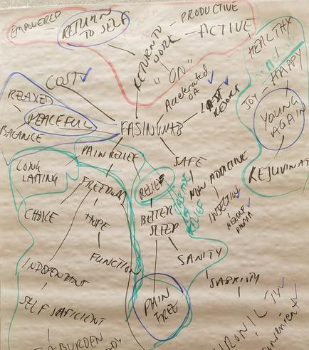 This is a word cloud about Fasinumab. Fasinumab was an investigational therapy developed by Regeneron and Teva for the treatment of chronic pain particularly in conditions like osteoarthritis (OA) of the knee or hip and chronic low back pain (per Google AI overview).