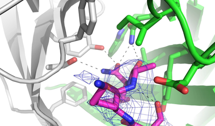 A 3D rendering of a molecular model of a molecule. The molecule is made up of multiple interconnected lines and shapes representing the structure of the molecule. On the left side of the image there is a white molecule with a red and blue molecule in the center. The molecules are arranged in a way that they form a complex network with each molecule having a unique shape and size. On the right side there are two green molecules one with a blue molecule and the other with a pink molecule. These molecules are connected by a series of lines creating a network-like structure. The blue molecule is in the shape of a hexagon while the pink molecule is a hexagonal structure with a triangular shape. The green molecule is connected to the blue molecule by a thin blue line. The background is white and the molecules are outlined in black. The image appears to be a computer-generated representation of a complex and intricate structure.