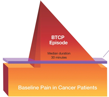 A pyramid-shaped diagram that represents the baseline pain in cancer patients. The base of the pyramid yellow and orange and is labeled "Baseline Pain in Cancer Patients". At the center of the pyramid there is a purple line. Where the pyramid starts to move towards a point it becomes red. It is labeled "BTCP Episode: Median duration 30 minutes". The background of the image is white.
