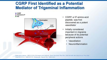 A diagram that explains the concept of carp (carp) first identified as a potential mediator of trigeminal inflammation. The diagram is divided into two sections. On the left side of the image there is a red blood vessel with a blue blood vessel in the center. The blood vessel is labeled "acceptor" and has a red arrow pointing towards it indicating the flow of blood from the vessel to the vessel. On the right side there are two red blood vessels one labeled "Vasodilation" and the other labeled "Neuroinflammation". The image also has text that explains that corps a 37-amino-acid peptide was first discovered as a potent vasodilator initially considered important in migraine because of its potential peripheral actions. The text also mentions that Vasodilation and neuroinflammation are the main components of the treatment. Overall the image is an illustration that explains how carp is a type of inflammation that occurs in the body and how it can be used to treat it.