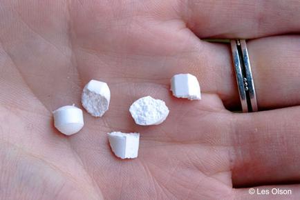 A person's hand with five small white objects scattered on it. The objects appear to be small and round with a smooth texture. They are arranged in a scattered manner with some overlapping each other. On the right side of the image there is a silver ring resting on the palm of the hand. The background is blurred so the focus is on the hand and the objects.