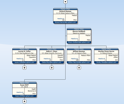 This is an (incomplete?) organizational chart for Global Medical Affairs. It shows 6 different direct reports to Richard Nieman (the Senior Vice President of Global Medical Affairs) (ex : William Neuman the Vice President of United States Medical Affairs) including their headcount in the department headed by each direct report (ex : 128). There is also a category designation for each direct report (ex : Medical Affairs) and their email address (ex : William.Neuman@Tevapharm.com).