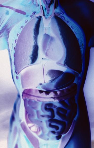 A close-up of a human torso and upper body. The image is an X-ray of the human body showing the internal organs and structures. The background is a gradient of blue and purple with a hint of pink and white. The main focus of the image is the chest which is visible in the center. The chest is divided into two sections with the left side showing the chest and the right side showing its internal organs. The left side of the chest has a large circular structure which appears to be a ventricle and the middle section has a smaller rectangular structure. The right side has two smaller structures one on top of the other which are connected by a thin curved line. The structures are arranged in a way that creates a sense of depth and dimension. The image appears to have been taken from a top-down perspective looking down on the chest. The overall color scheme is predominantly blue purple and pink with some hints of white and gray.