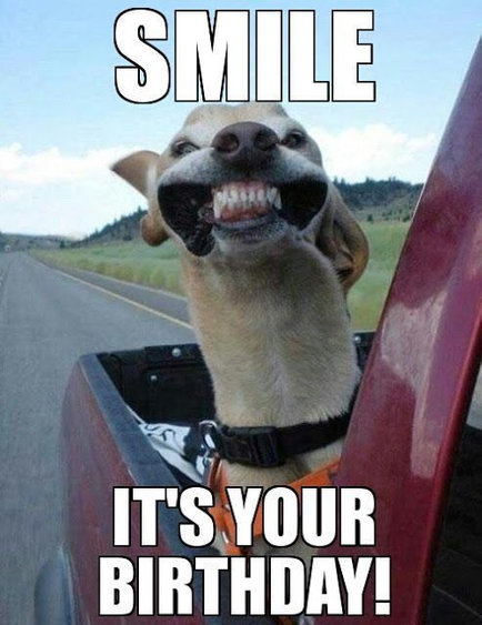 A meme featuring a dog sitting in the back of a red pickup truck. The dog is wearing a black collar and is looking up at the camera with its mouth wide open showing its teeth. The text on the image reads "Smile it's your birthday!" The background shows a road with trees and hills in the distance. The sky is blue and the overall mood of the image is cheerful and playful.