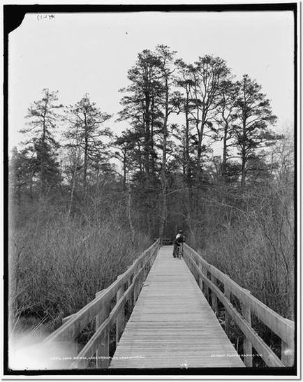 A black and white photograph of a wooden boardwalk in a wooded area. The boardwalk is made of light-colored wood and has a railing on both sides. There are tall trees and bushes on either side of the boardwalk and the sky is visible in the background. In the center of the image there is a person walking on the boardwalks and another person is walking towards the right side. The photograph appears to be taken from a low angle looking up at the sky.