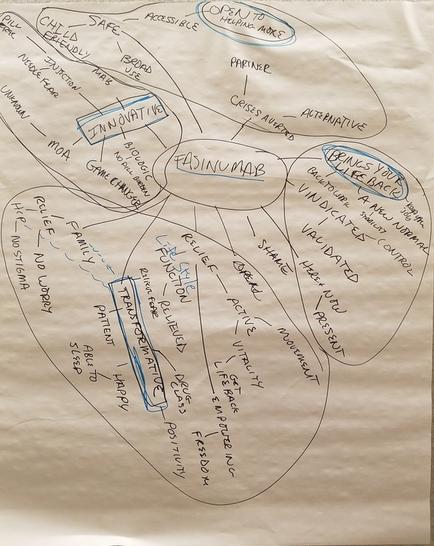 This is a word cloud about Fasinumab an investigational human monoclonal antibody drug that was designed to treat pain from osteoarthritis (OA) and chronic low back pain by targeting nerve growth factor (NGF) (per the Google AI Overview). There are 4 subsections of the word cloud : Open to helping more Brings your life back Transformative and Innovative. Each word branches off from another word but the ordering and hierarchy of the words is not always clear.