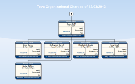 This is an organizational chart showing the 5 direct reports to Susan Shiff (Vice President of HEOR (Health Economics and Outcomes Research) in the Medical Affairs department) at Teva Pharmaceuticals as of December 3 2013. Her direct reports are Cisco Barnes (Senior Manager of HEOR) Cathryn A. Carroll (Associate Director of HEOR) Elizabeth J. Grubb (Senior Manager of HEOR) Mary Small (Senior Manager of HEOR) and Richard White (Director). This is the entire unit per the headcount figures.