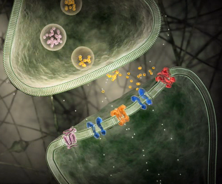 A 3D rendering of a bacterial cell with a green background. The cell is surrounded by a network of interconnected lines and dots representing the structure of the cell. On top of the green background there are three small spheres one pink and one yellow which appear to be bacteria. The pink sphere is on the left side of the image while the yellow sphere is in the center. On the right side there is a red and blue bacterium which is likely a bacterium. The bacterium is attached to a green membrane which extends from the top left corner to the bottom right corner. There are also several small yellow and orange bacteria scattered around the cell which could be bacteria or viruses. The background is dark and has a grid-like pattern suggesting that the image was taken in a laboratory or laboratory setting.