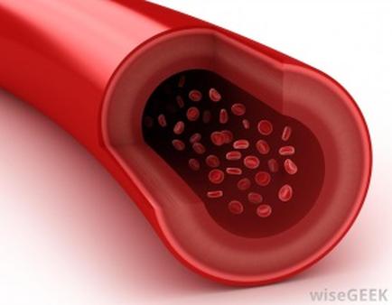 A 3D rendering of a red blood vessel. The vessel appears to be elongated and has a smooth surface. The center of the vessel is filled with small round red cells. The cells are arranged in a circular pattern with some overlapping each other. The background is white making the red color of the blood vessel stand out.