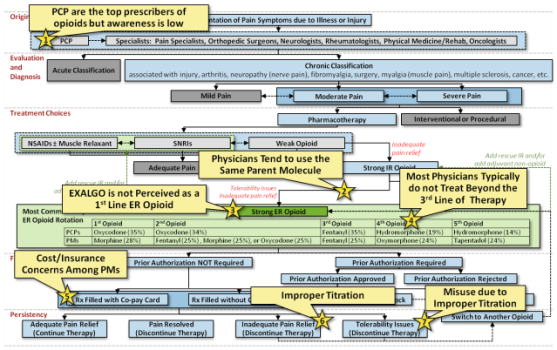 A flow chart describing the pain management process from a physician's perspective in 5 sections accompanied by 7 annotations (marked by stars pointing to text boxes). The sections are Origin Evaluation and Diagnosis Treatment Choices [something to do with insurance coverage for prescriptions?] and Persistency. The annotations appear to refer to ways that Mallinckrodt Pharmaceuticals could increase the awareness sales and profitability of Exalgo. The background is white with graphic elements in blue gray green and yellow with text in black red and green.