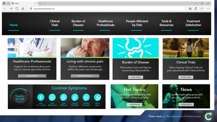 A screenshot of the homepage of a website called "Healthcare Professionals". The website has a black and white color scheme with a blue header and footer. At the top of the page there is a navigation bar with various options such as "Home" "Clinical Trials" "Burden of Disease" "People Affected by Pain" "Tools & Treatment" and "Treatment Satisfaction". Below the navigation bar there are six images arranged in a grid-like pattern. The first image on the top left shows a doctor with a stethoscope around his neck representing healthcare professionals. The second image shows an elderly man with his hand on his chin representing living with chronic pain. The third image shows a group of people walking in a park representing people affected by pain. Next to the first image the fourth image shows the website's clinical trials with a green banner that reads "Living with Chronic Pain". The fifth image shows common symptoms the sixth image shows hot topics and the seventh image shows news. The eighth image shows two people walking on a path representing health and wellness.