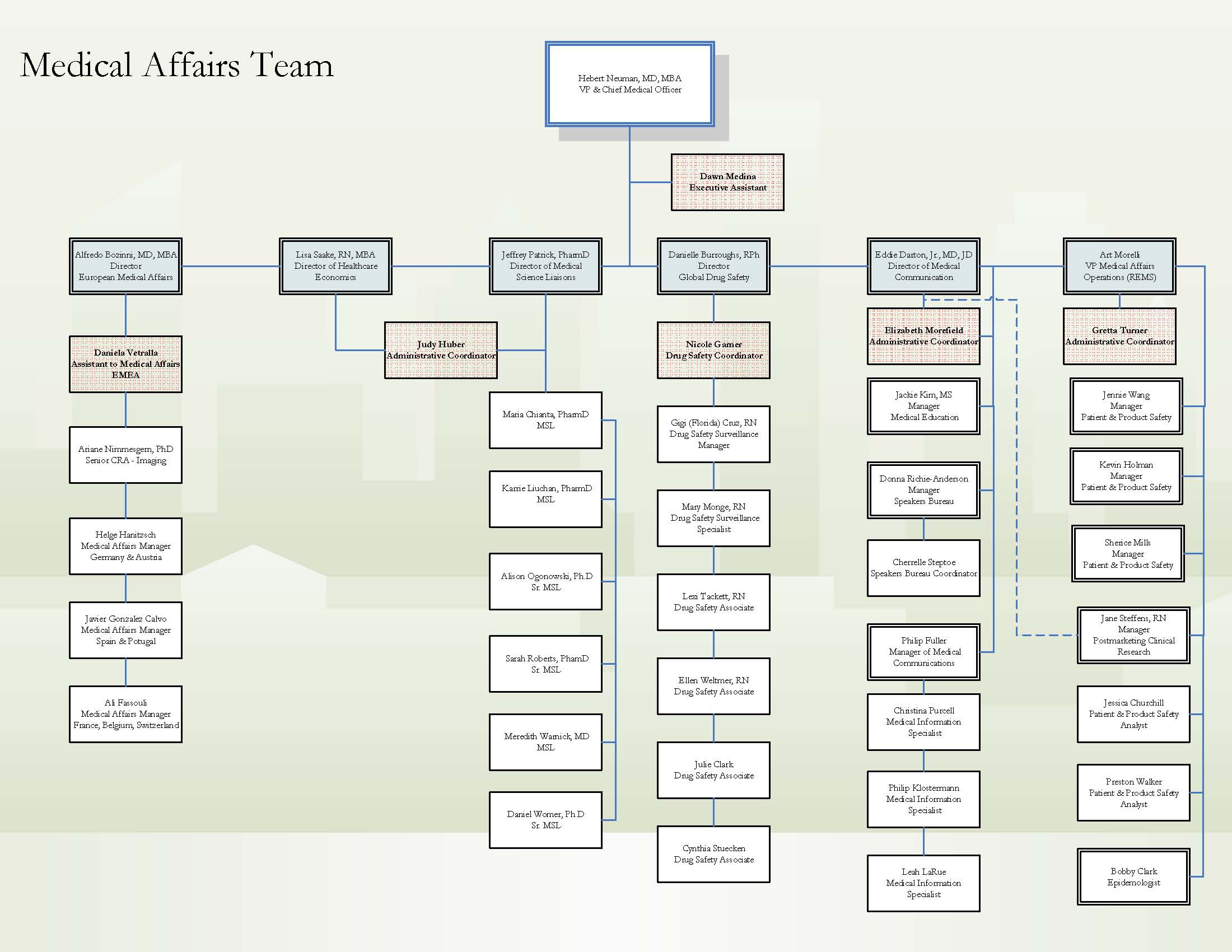 A organizational chart that represents the medical affairs team. It is a visual representation of the organizational structure of a company or organization and includes a list of names and their respective responsibilities. The names are written in black text on a white background. The text is small and difficult to read but it appears the most senior person on the organizational chart is "Herbert Neuman MD MBA VP & Chief Medical Officer". 