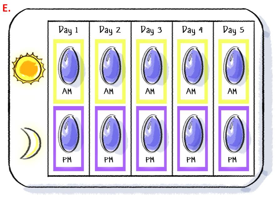 An illustration of a calendar that appears to show when to take a medication. There is a grid with five columns each labeled with a value between "Day 1" and "Day 5". It has two rows with the top row labeled with an icon of a sun and the bottom labeled with a crescent moon. Each box in the top row is labeled with "AM" and on the bottom row with "PM". Each box has what appears to be a bluish purple pill in it. 
