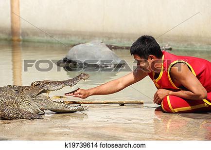 A young man in a red and yellow outfit kneeling on the ground next to a large crocodile. The man is reaching out to touch the crocodile's mouth with his right hand. The crocodile is lying on its side with its mouth open as if it is about to bite the man's hand. In the background there is a body of water and a concrete wall. The image appears to be taken in an outdoor setting.