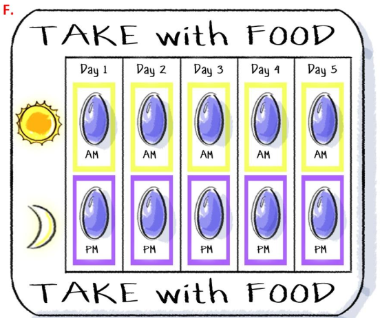 An illustration of a calendar that appears to show when to take a medication. There is a grid with five columns each labeled with a value between "Day 1" and "Day 5". It has two rows with the top row labeled with an icon of a sun and the bottom labeled with a crescent moon. Each box in the top row is labeled with "AM" and on the bottom row with "PM". Each box has what appears to be a bluish purple pill in it. Both above and below the grid the text "Take with Food" is written in large bold font. 