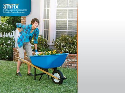 A young woman pushing a blue wheelbarrow in a garden. She is wearing a blue plaid shirt beige pants and black shoes. The woman is smiling and appears to be in the process of planting flowers in the garden. The garden has a brick wall and a white picket fence in the background. There is a window on the right side of the image and a sign that reads "amrix" on the left side.