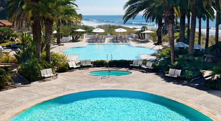 A beautiful outdoor swimming pool with crystal clear blue water. The pool is surrounded by palm trees and other tropical plants and there are several lounge chairs and umbrellas scattered around the pool area. In the background there is a stunning view of the ocean and the horizon. The sky is blue and the weather appears to be sunny and warm. The overall atmosphere of the image is peaceful and relaxing.