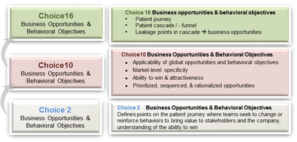 This is an infographic comparing 3 different options (Choice 2 Choice 10 Choice 16) for business opportunities & behavioral objectives. Each choice includes explanatory text usually in the form of bullet point lists.