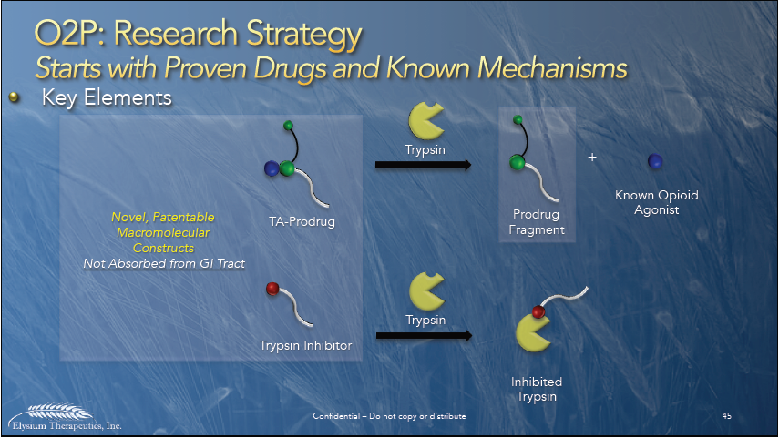 A data visualization with the title "O2P: Research Strategy Starts with Proven Drugs and Known Mechanisms". It appears to be slide 45 from a larger presentation by Elysium Therapeutics Inc. Logos represent "Novel Patentable Macromolecular Constructs Not Absorbed from Gl Tract" including "TA-Prodrug" and "Trypsin Inhibitor". Those interact with "Trypsin" leading to "Prodrug Fragment" (which can be paired with a "Known Opioid Agonist") and "Inhibited Trypsin". The background is various shades of blue with a textured appearance (potentially an example of microphotography?) with graphic elements in yellow blue green and red with text in yellow and white.