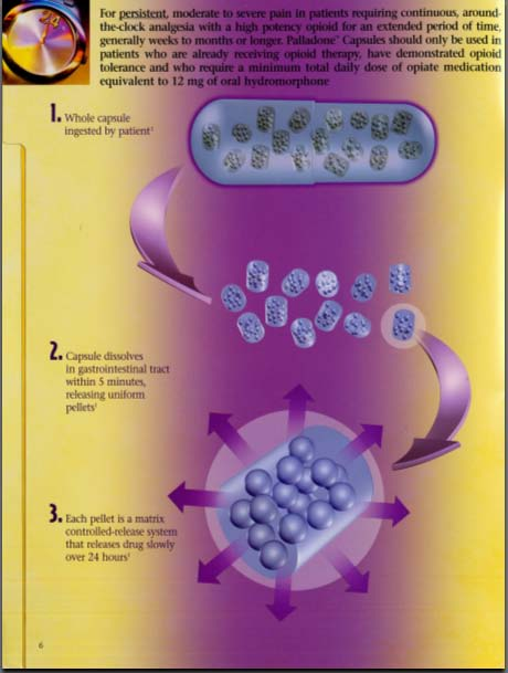 Appears to be a photograph from a page in a book or brochure. It explains how taking a capsule of medication works. A paragraph at the top of the page reads: "For persistent moderate to severe pain in patients requiring continuous around-the-clock analgesia with a high potency opioid for an extended period of time generally weeks to months or longer. Palladone Capsules should only be used in patients who are already receiving opioid therapy have demonstrated opioid tolerance and who require a minimum total daily dose of opiate medication equivalent to 12 mg of oral hydromorphone."<br /><br />Below the paragraph there are three steps each illustrated with a capsule. The first step is "1. Whole capsule ingested by patient." The illustration shows a capsule that is filled with pellets. The pellets are made up of tiny circles. The second step is: "2. Capsule dissolves in gastrointestinal tract within 5 minutes releasing uniform pellets." The illustration shows the pellets without the capsule encasing them.  The third step is "3. Each pellet a matrix controlled-release system that releases drug slowly over 24 hours." The illustration shows one pellet with a number of arrows pointing out from it. <br /><br />The background of the image is a yellow and purple gradient.