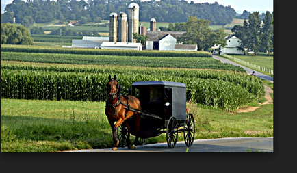 A horse-drawn carriage on a country road. The carriage is black and appears to be made of wood and metal. The horse is harnessed to the carriage and is walking towards the right side of the image. In the background there is a field of corn with rows of corn stalks. On the left side there are two silos and a white barn. The sky is blue and there are trees and hills in the distance. The overall scene is peaceful and serene.