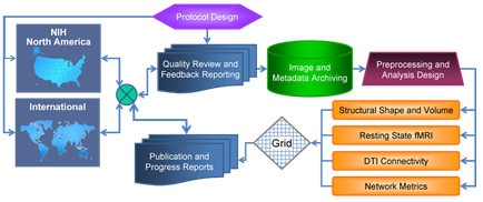 A diagram that shows the different types of network metrics that are used in the North America region of the United States. The diagram is divided into four sections each representing a different type of network. The first section is labeled "NIH North America" and shows a map of North America with the text "Quality Review and Feedback Reporting" above it. The second section is titled "Quality review and feedback reporting" and has a green checkmate next to it. In the third section there is a green circle with the words "Image and Metadata Archiving" inside it representing the process of image and metadata archiving. The fourth section is labelled "reprocessing and Analysis Design" and contains text that explains the process in detail. The fifth section is highlighted in orange and shows the structure of the network metrics including "Structural Shape and Volume" "Resting State fri" "DTI Connectivity" and "Network Metrics". Overall the diagram represents the various components of a network that is used to analyze and analyze data and improve the performance of a website or application.
