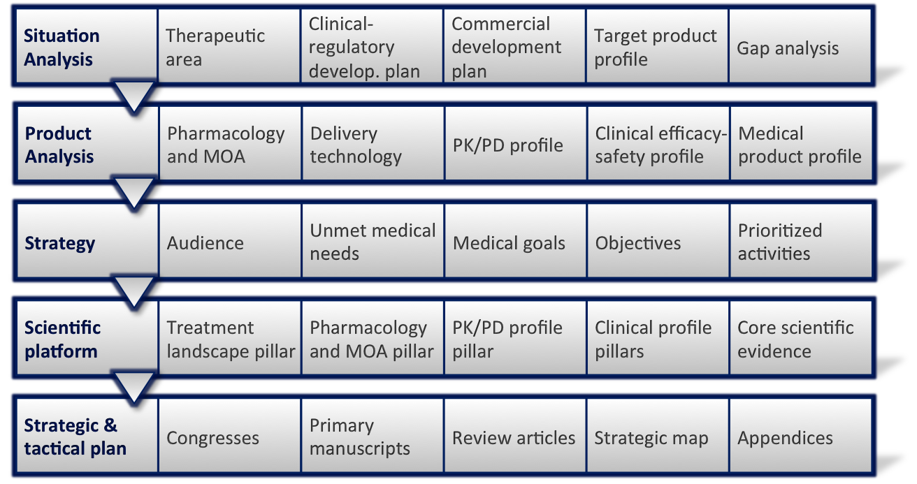 A flowchart that shows the different stages of a medical development process and things to consider at each stage. The different stages are: "Situation Analysis" "Product Analysis" "Strategy" "Scientific Platform" and "Strategic & tactical plan".
