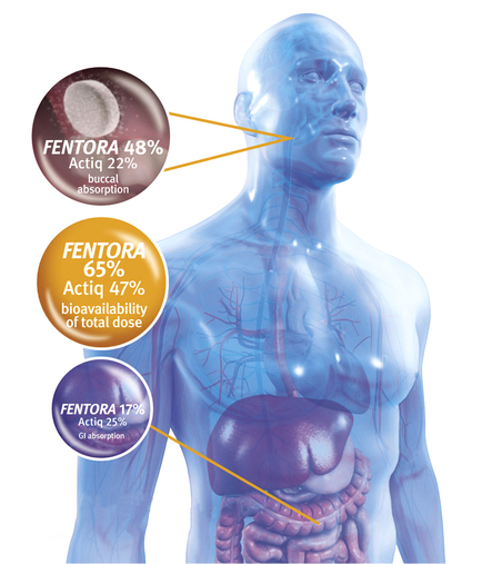A 3D illustration of a human body with a blue background. The body is shown in a side view with the head and neck visible. On the left side of the image there is a circle with the text "mentor 48% actin 22% Absorption" and on the right side there are three circles with the same text. The circles are labeled "mentor 65%" and "actin 47% bioavailability of total dose". The image also has a yellow arrow pointing to the central part of the body which is highlighted in blue. The arrow is pointing towards the left and right sides of the circle indicating that the image is meant to represent the percentage of people who have been diagnosed with mentor. The text is written in black and is in a modern font.