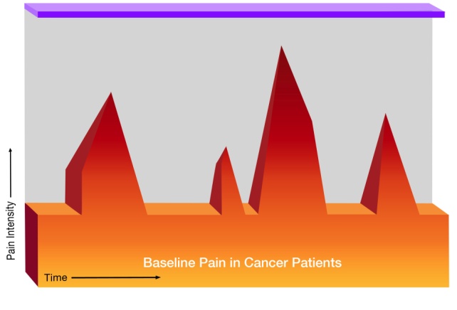 A graph that shows the relationship between time and pain intensity for cancer patients. The graph shows a section at the bottom labelled "Baseline pain in cancer patients". There are four large red spikes indicating increases in pain. There is a horizonal purple line at the top of the diagram. 