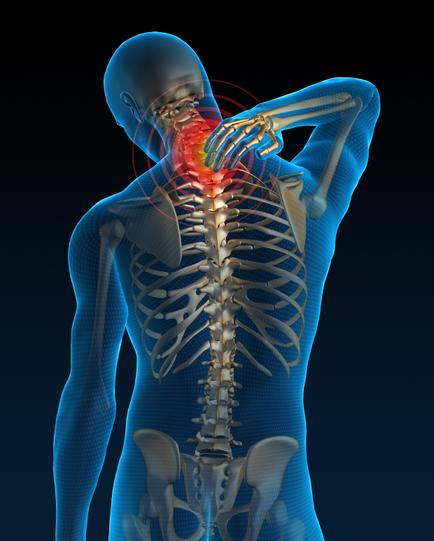 A 3D rendering of a human skeleton with a blue background. The skeleton is shown from the back with the neck and upper back facing towards the viewer. The neck is highlighted in red indicating that it is in pain or discomfort. The bones of the skeleton are visible and the bones are arranged in a way that they form a grid-like pattern. The image appears to be a digital representation of the human body with no other objects or structures in the background.
